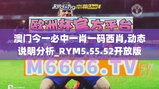 澳门今一必中一肖一码西肖,动态说明分析_RYM5.55.52开放版