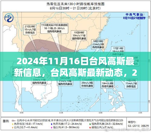 台风高斯最新动态及应对指南，2024年11月16日风暴预警与准备