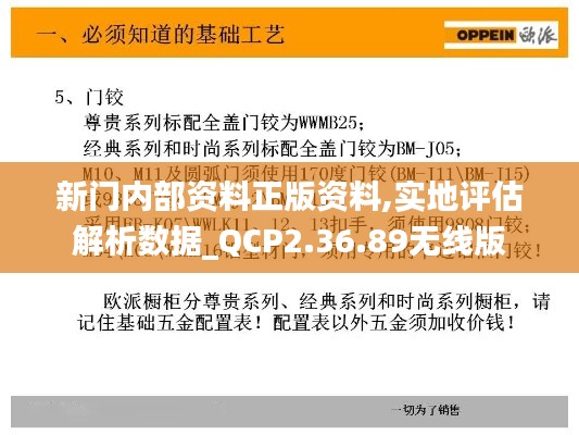 新门内部资料正版资料,实地评估解析数据_QCP2.36.89无线版