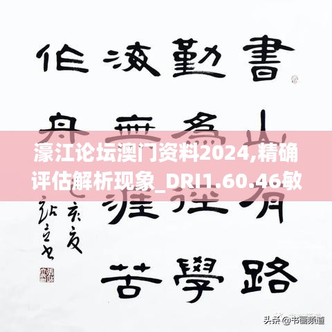 濠江论坛澳门资料2024,精确评估解析现象_DRI1.60.46敏捷版