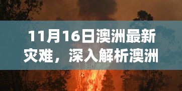 澳洲最新灾难深度解析，特性、体验、竞品对比及用户洞察探讨