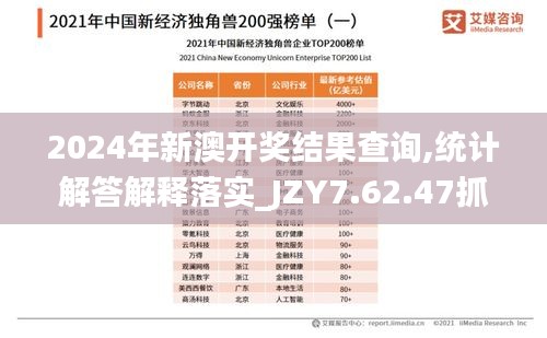 2024年新澳开奖结果查询,统计解答解释落实_JZY7.62.47抓拍版