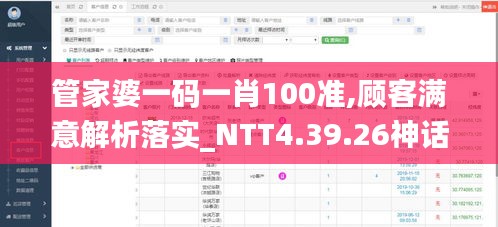 管家婆一码一肖100准,顾客满意解析落实_NTT4.39.26神话版