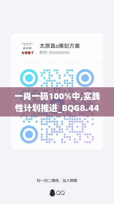 一肖一码100%中,实践性计划推进_BQG8.44.38商务版