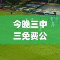 今晚三中三免费公开资料,深化研究解答解释策略_RMA4.51.98冷静版