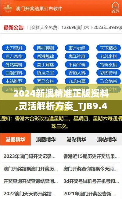 2024新澳精准正版资料,灵活解析方案_TJB9.41.46怀旧版