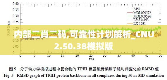 内部二肖二码,可靠性计划解析_CNU2.50.38模拟版