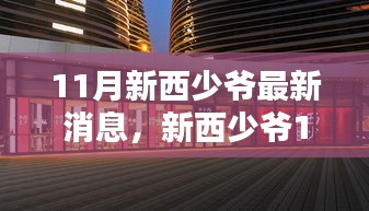 新西少爷11月最新动态评测，特性、体验、竞品对比与用户群体深度分析