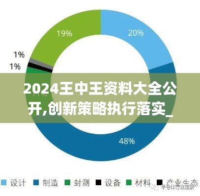 2024王中王资料大全公开,创新策略执行落实_NIC2.10.54仿真版