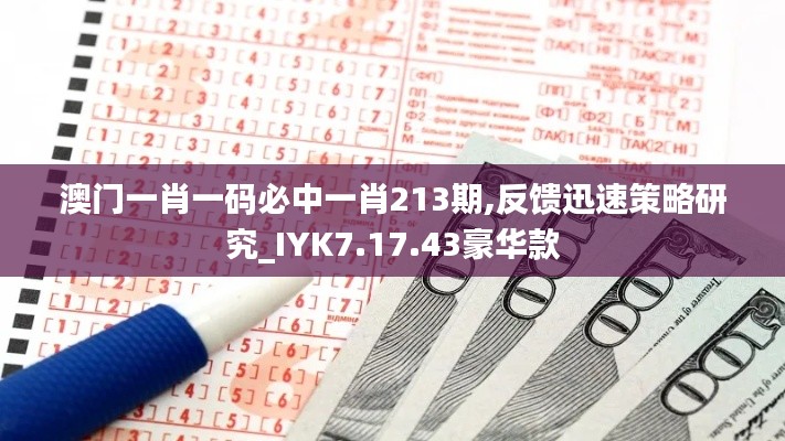 澳门一肖一码必中一肖213期,反馈迅速策略研究_IYK7.17.43豪华款