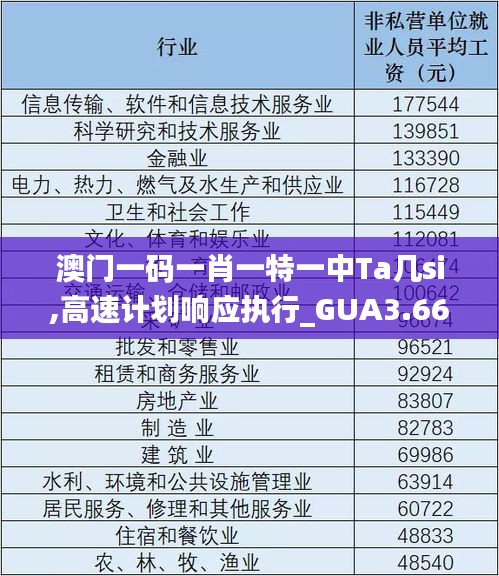 澳门一码一肖一特一中Ta几si,高速计划响应执行_GUA3.66.75珍贵版