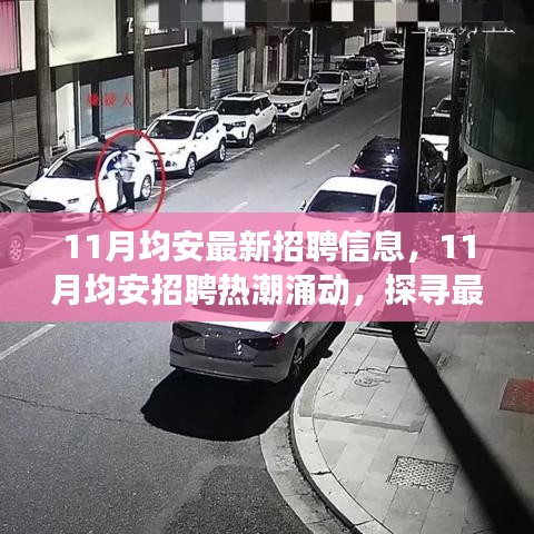 探寻均安招聘热潮背后的故事，最新招聘信息汇总