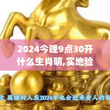 2024今晚9点30开什么生肖明,实地验证设计方案_YJK9.35.91神话版