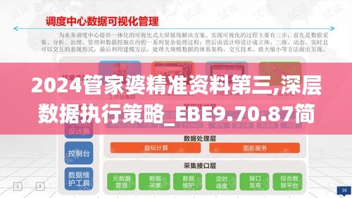 2024管家婆精准资料第三,深层数据执行策略_EBE9.70.87简便版