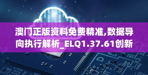 澳门正版资料免费精准,数据导向执行解析_ELQ1.37.61创新版