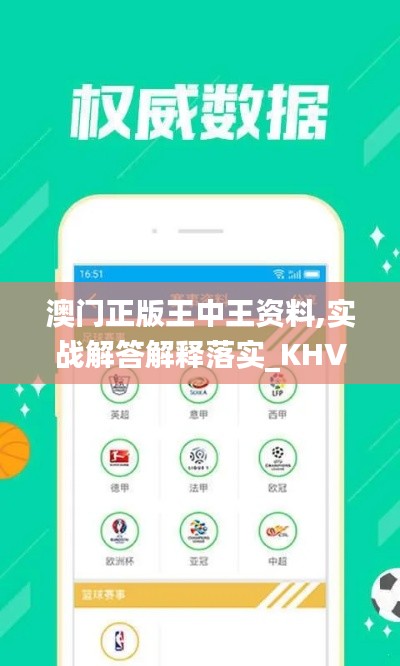 澳门正版王中王资料,实战解答解释落实_KHV9.12.45外观版