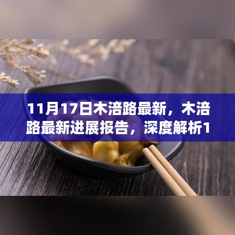 深度解析，木涪路最新进展报告与三大要点解析（最新消息更新）