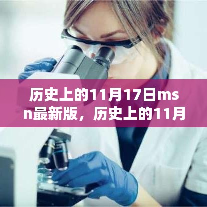 最新MSN软件版本指南，历史上的11月17日及安装使用指南