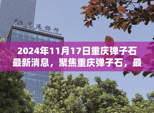 2024年11月17日重庆弹子石最新消息聚焦，热议与观点碰撞