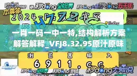 一肖一码一中一特,结构解析方案解答解释_VFJ8.32.95原汁原味版