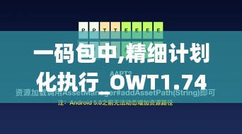 一码包中,精细计划化执行_OWT1.74.48无限版