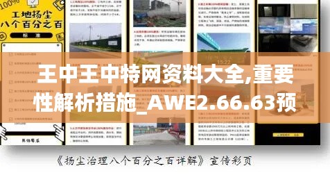 王中王中特网资料大全,重要性解析措施_AWE2.66.63预测版