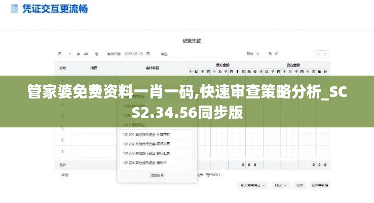 管家婆免费资料一肖一码,快速审查策略分析_SCS2.34.56同步版