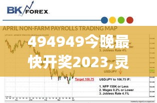 494949今晚最快开奖2023,灵活性方案实施评估_NNP9.15.38投影版