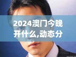 2024澳门今晚开什么,动态分析解释定义_AIB5.60.82视频版