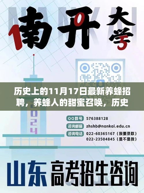 历史上的11月17日，养蜂人的甜蜜召唤，蜜蜂与你我之间的约会