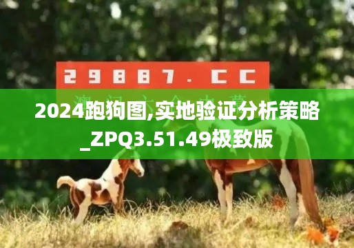 2024跑狗图,实地验证分析策略_ZPQ3.51.49极致版