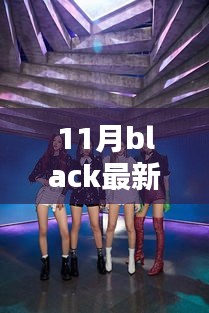 揭秘11月Black最新成员，引领潮流的新力量登场