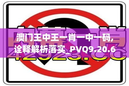 澳门王中王一肖一中一码,诠释解析落实_PVQ9.20.62高端体验版