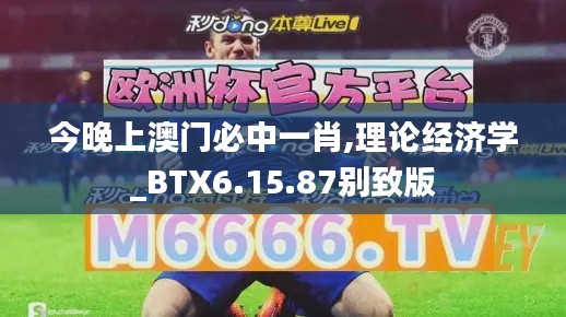 今晚上澳门必中一肖,理论经济学_BTX6.15.87别致版