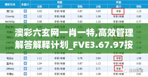 澳彩六玄网一肖一特,高效管理解答解释计划_FVE3.67.97按需版