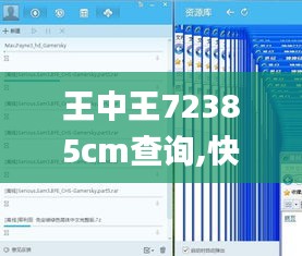 王中王72385cm查询,快速执行响应规划_XCN4.73.76私密版