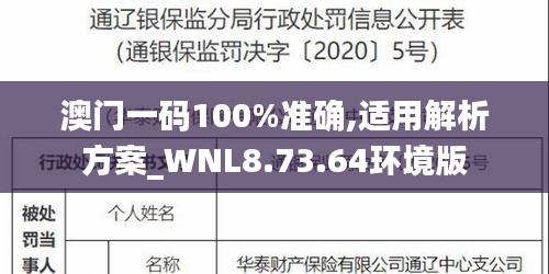 澳门一码100%准确,适用解析方案_WNL8.73.64环境版