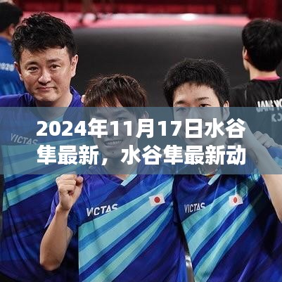 聚焦水谷隼最新动态，三大看点揭秘2024年11月17日