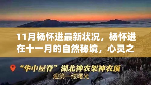 杨怀进十一月心灵之旅，自然秘境中的平静力量探寻