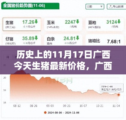 揭秘广西今日生猪价格新动态，科技领航下的智能追踪报告（11月17日）