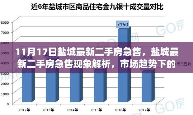 盐城最新二手房急售现象解析及市场趋势多元观点探讨