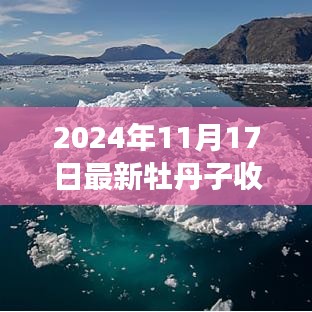 揭秘重磅更新，牡丹子市场最新动态与惊人涨幅的收购价格