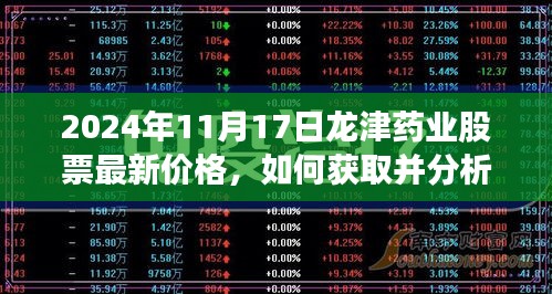 2024年11月17日龙津药业股票最新价格分析与获取指南——全方位指导初学者与进阶用户