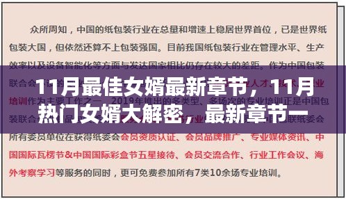 揭秘魅力爆棚的11月最佳女婿，最新章节深度解析