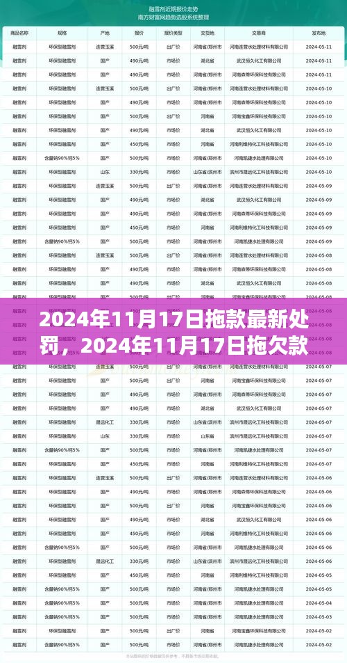 2024年11月17日拖欠款项最新处罚措施深度探讨与观点阐述