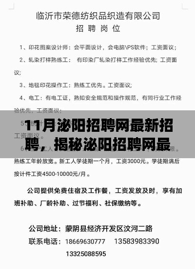 揭秘泌阳招聘网最新动态与职场人三大要点解析