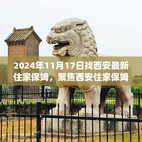 聚焦西安住家保姆市场，如何选择最佳保姆的探讨（观察点，2024年11月）