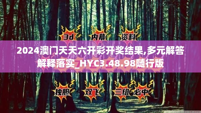 2024澳门天天六开彩开奖结果,多元解答解释落实_HYC3.48.98随行版