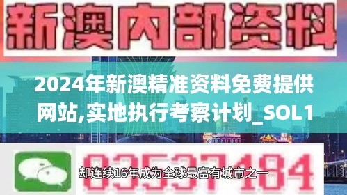 2024年新澳精准资料免费提供网站,实地执行考察计划_SOL1.60.26稀有版