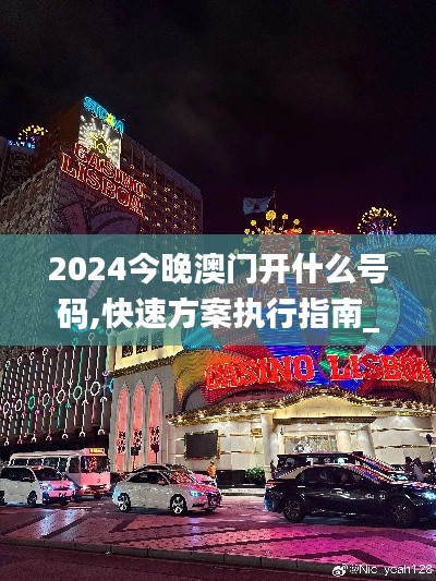 2024今晚澳门开什么号码,快速方案执行指南_MXO2.27.77毛坯版